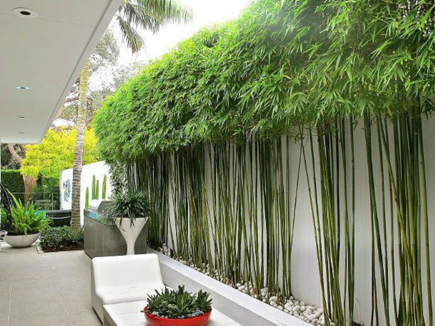 Cây xanh trong phong thủy giúp hóa giải cổng đối cổng