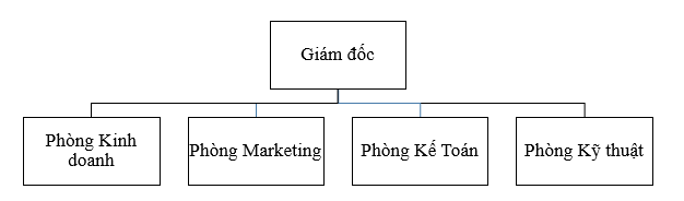 Sơ đồ cơ cấu bộ máy quản lý của Công ty Cổ Phần Autogate